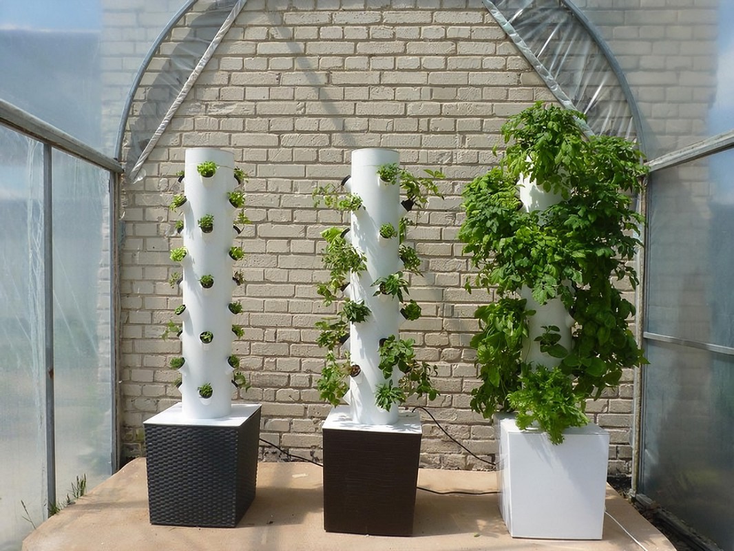 Types of Vertical Farming Systems