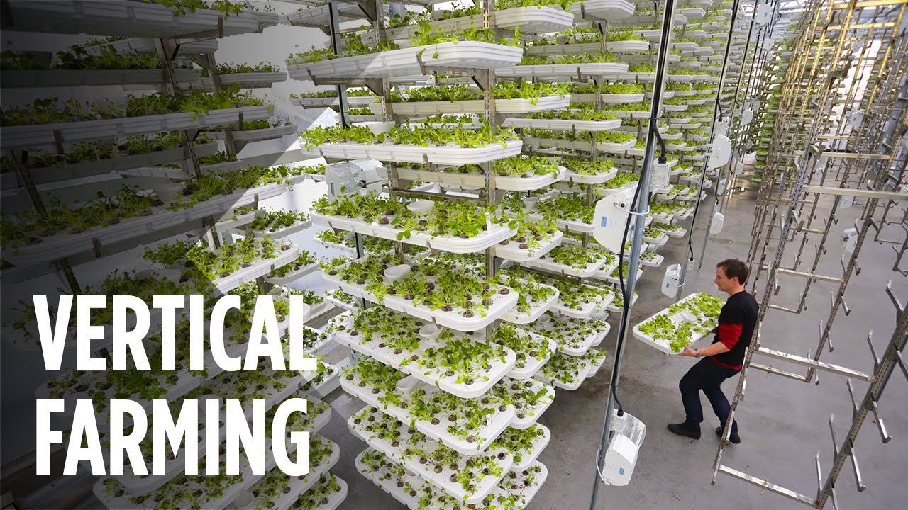 Choosing the Right Vertical Farming System