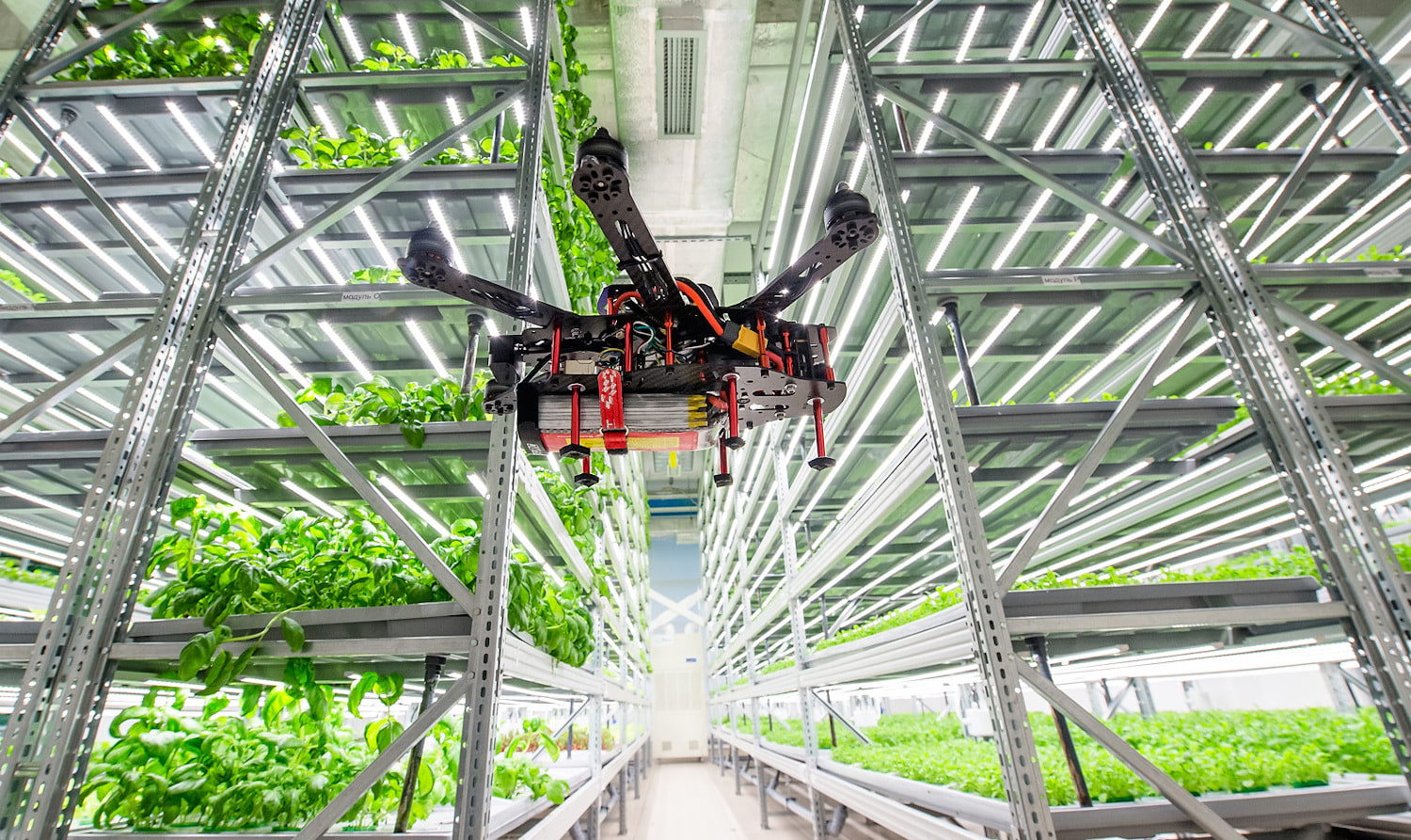 Automation in Vertical Farms