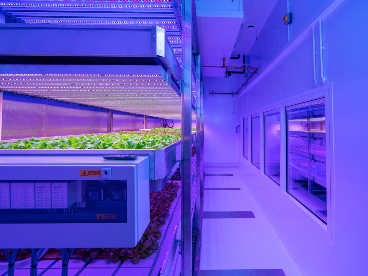 Vertical Farm Lighting and Climate Control