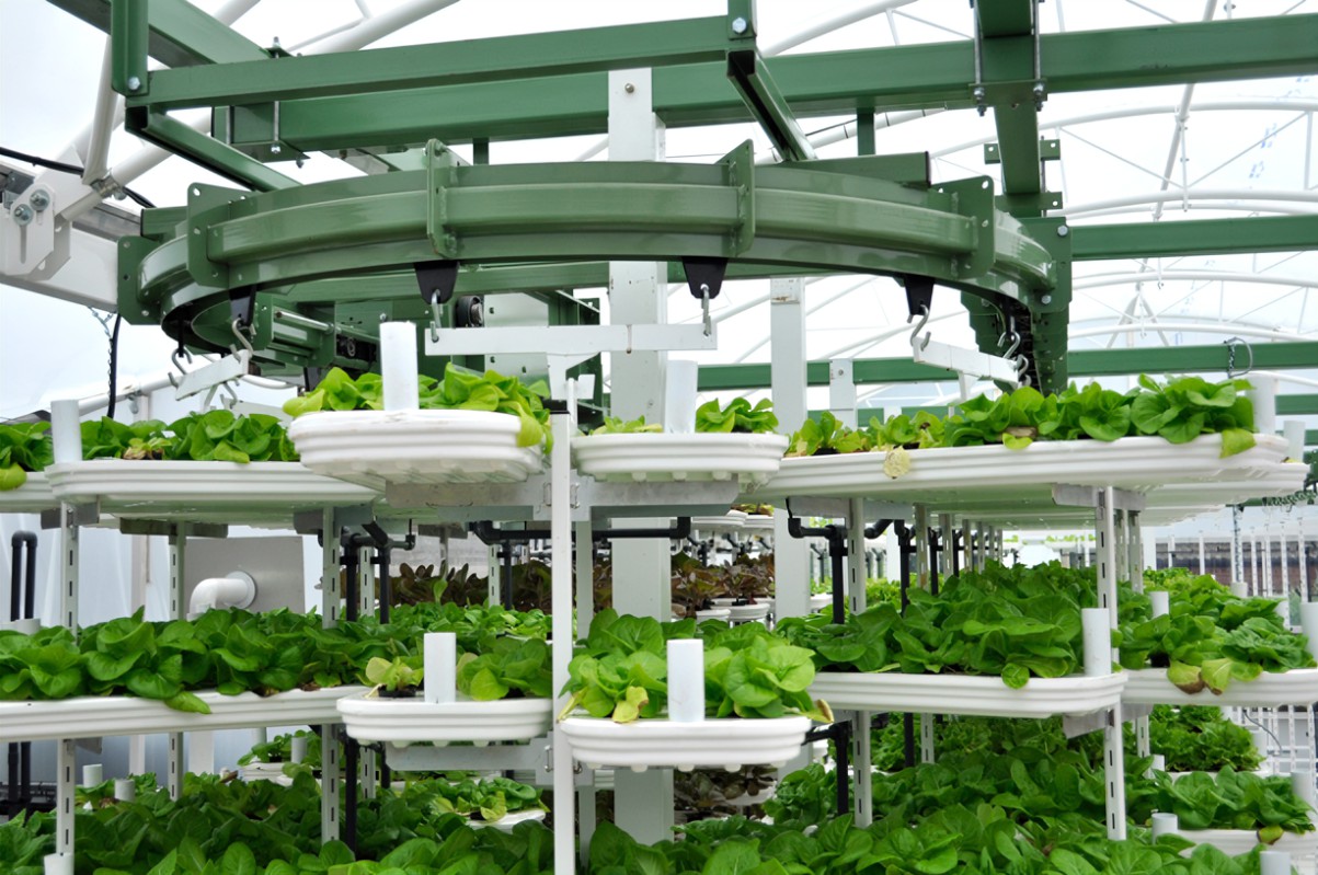 Vertical Farming as a Solution for Urban Food Deserts