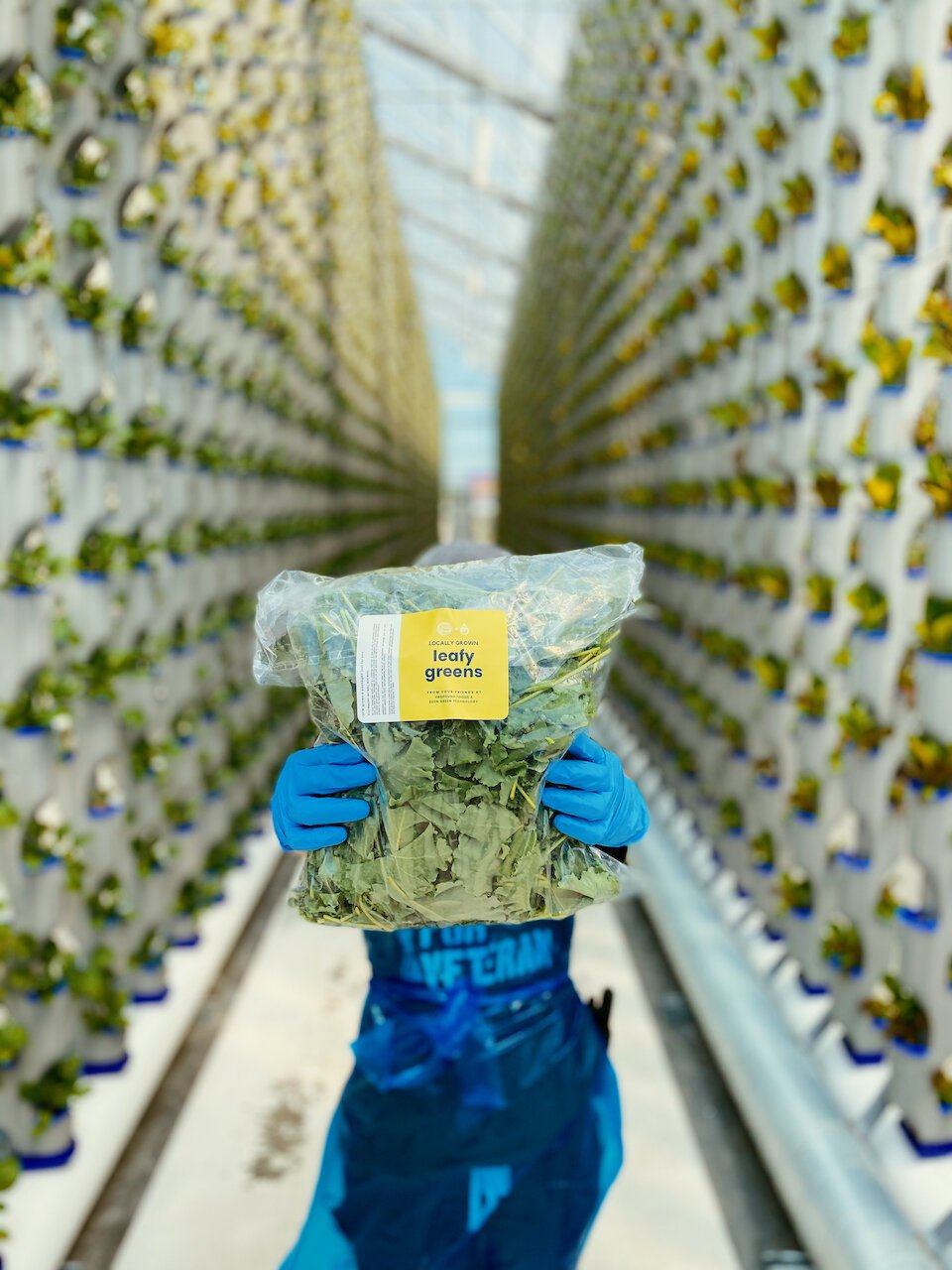 Financing and Investment in Vertical Farms