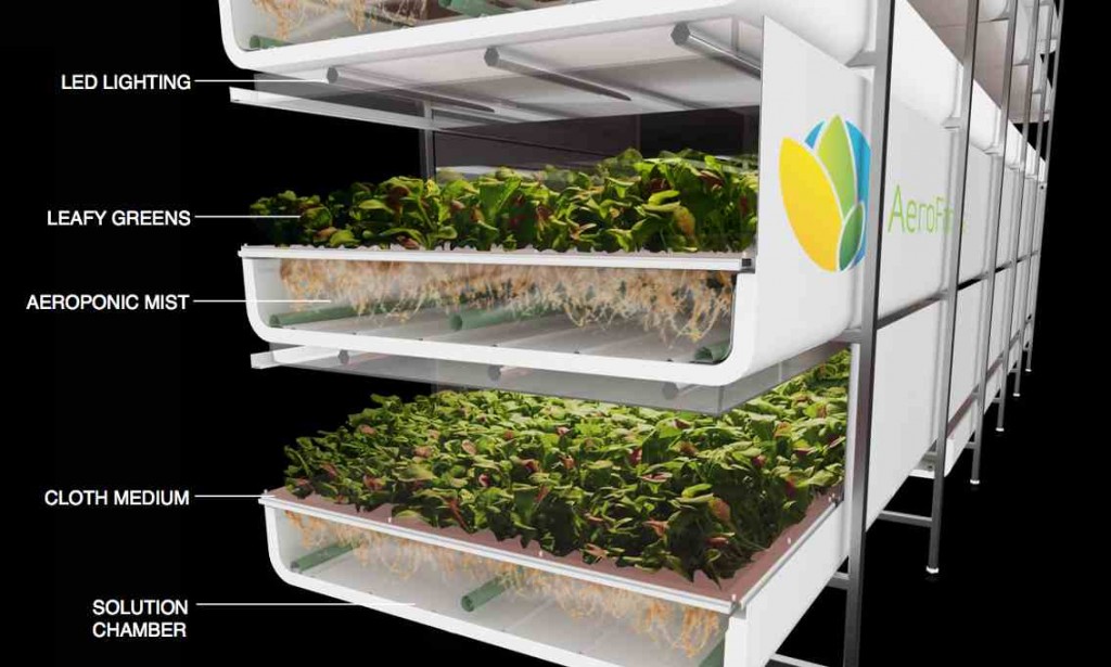 Vertical Farming Without Soil