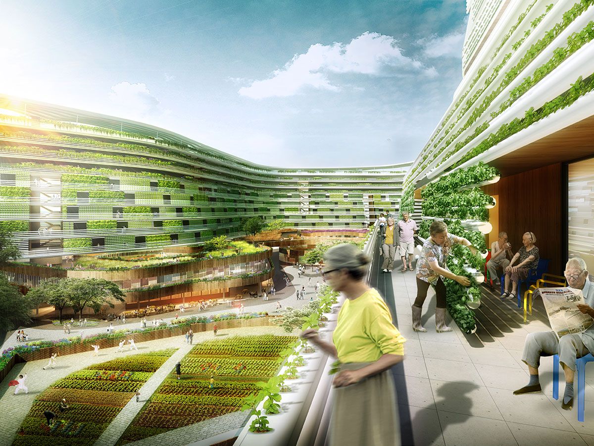 Vertical Farming: Fostering Innovation in Food Production