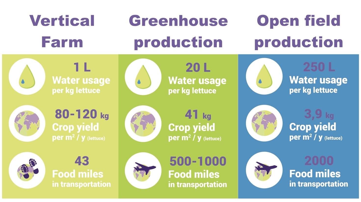 Vertical Farming and the Evolution of Sustainable Farm-to-Table