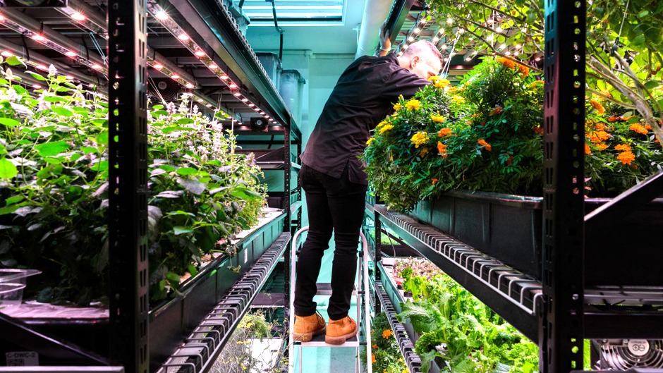 Vertical Farming and the Vision of a Greener Tomorrow