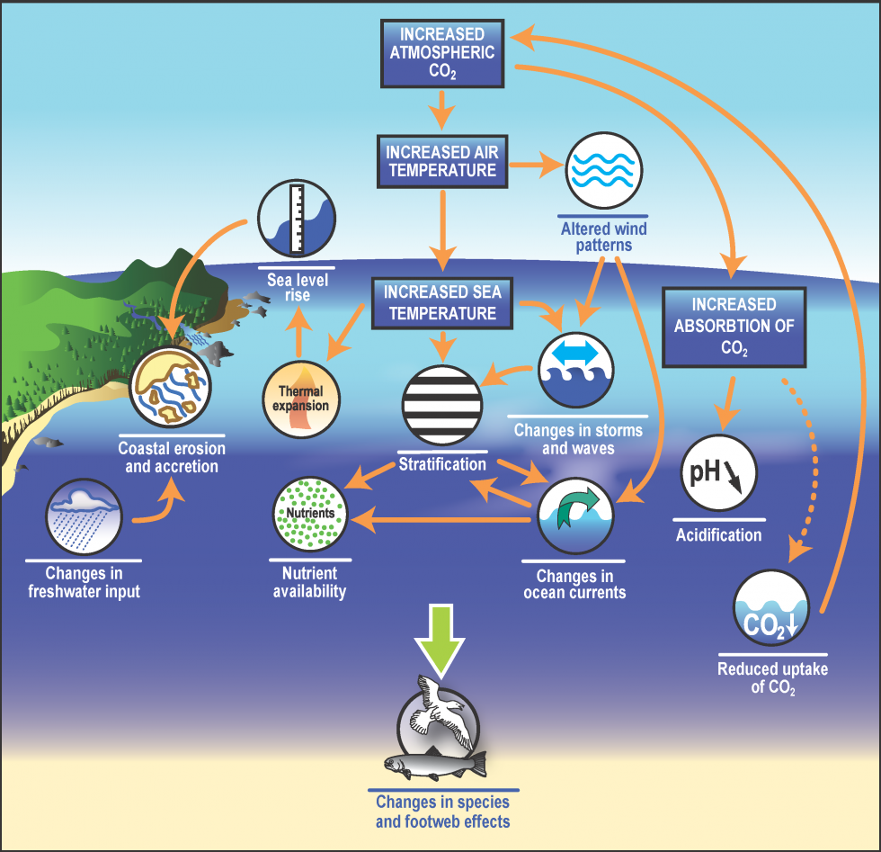 Mitigating Environmental Concerns in Ocean Energy