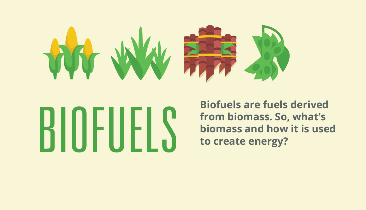 Biofuels and National Security