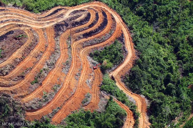 The Impact of Biofuels on Land Use and Deforestation