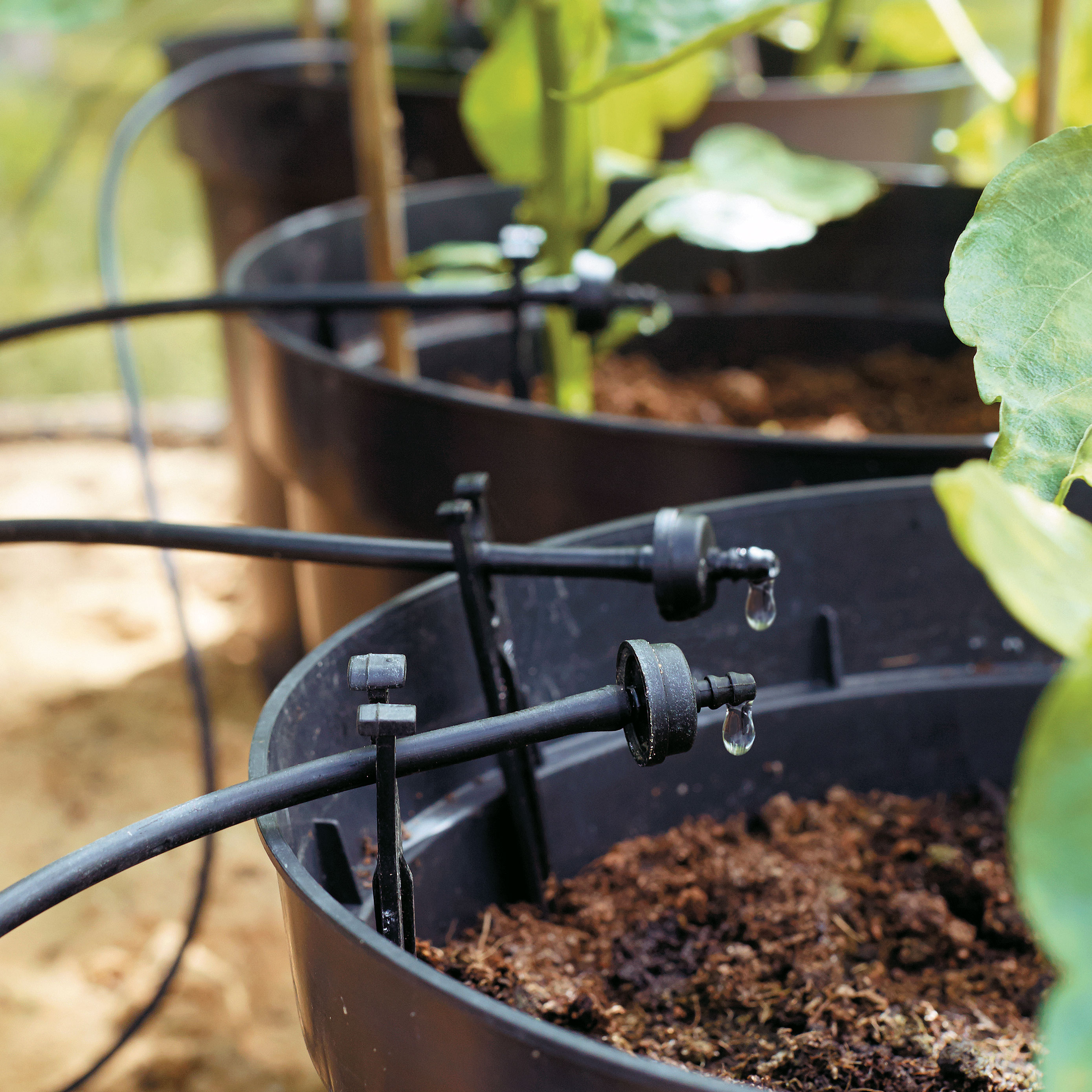 Vertical Garden Irrigation Systems