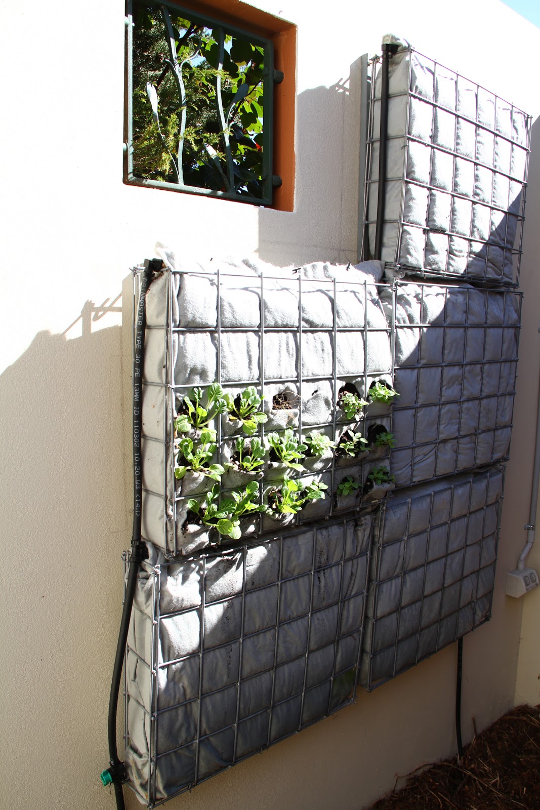 Building a Vertical Garden Frame