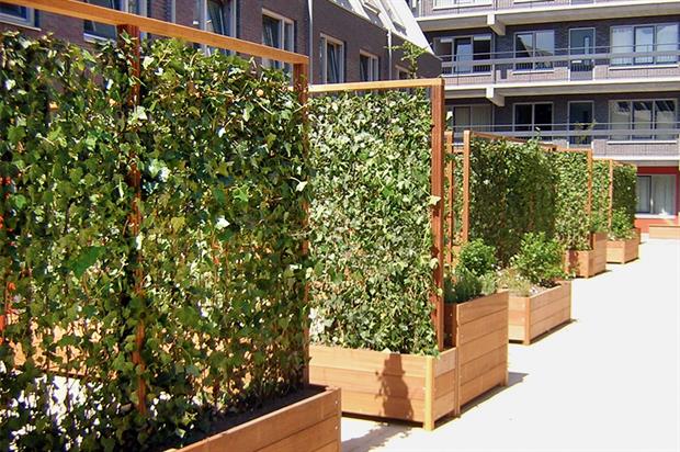 Air Quality Improvement with Vertical Gardens