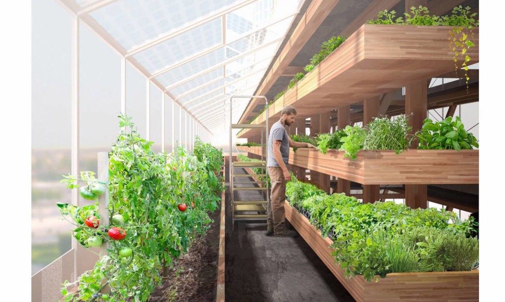 Vertical Gardens and Urban Farming