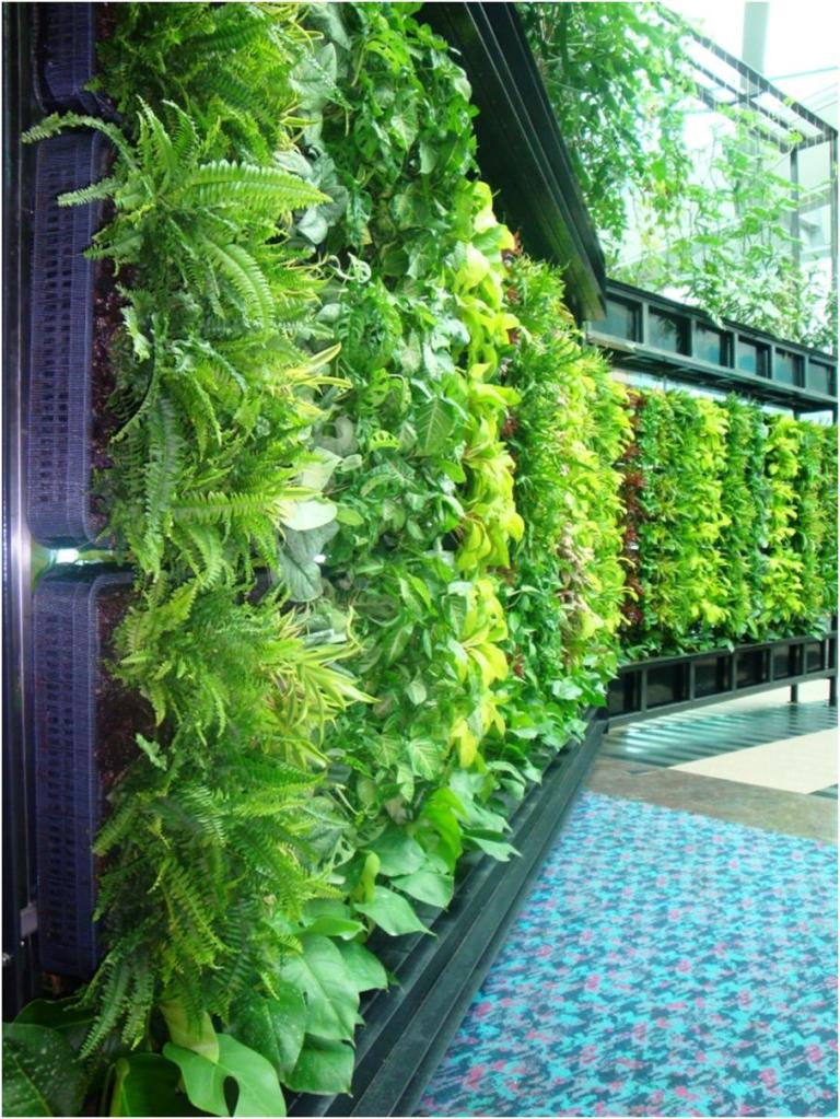 Creating Habitat with Vertical Greenery