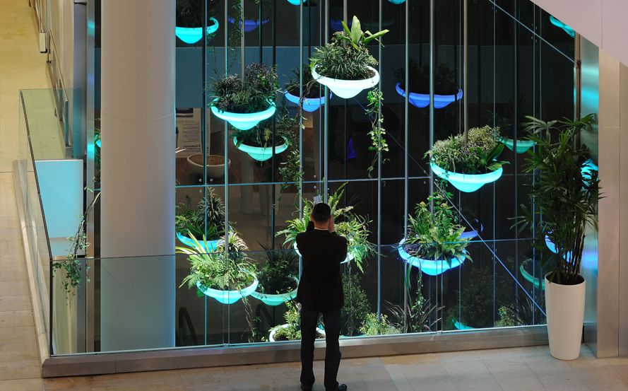 Vertical Gardens as Art Installations