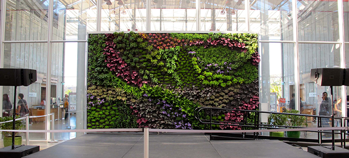 Vertical Gardens in Schools and Universities