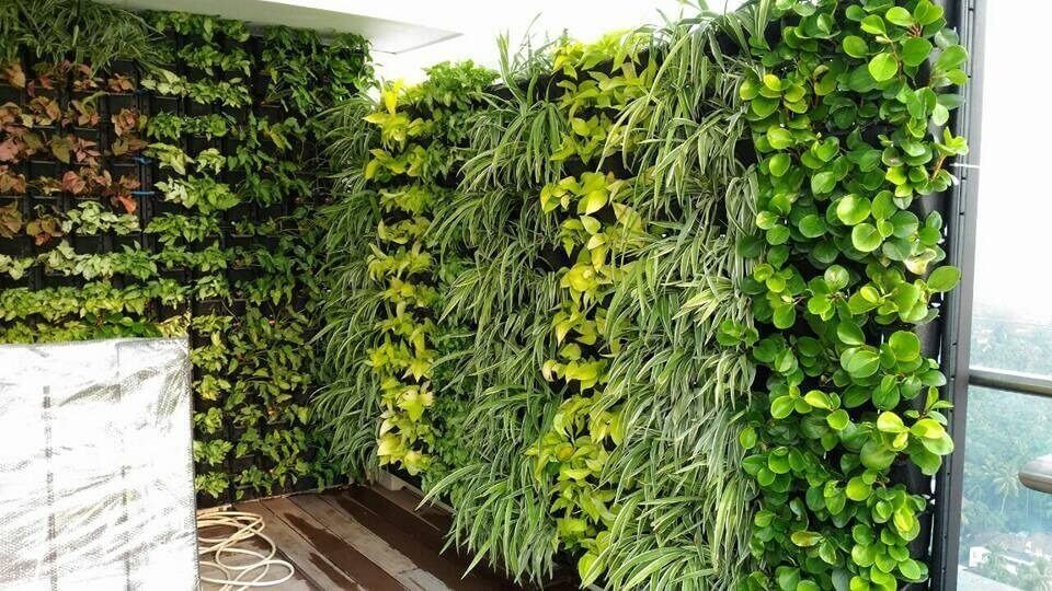 Calculating the Financial Benefits of Vertical Gardens