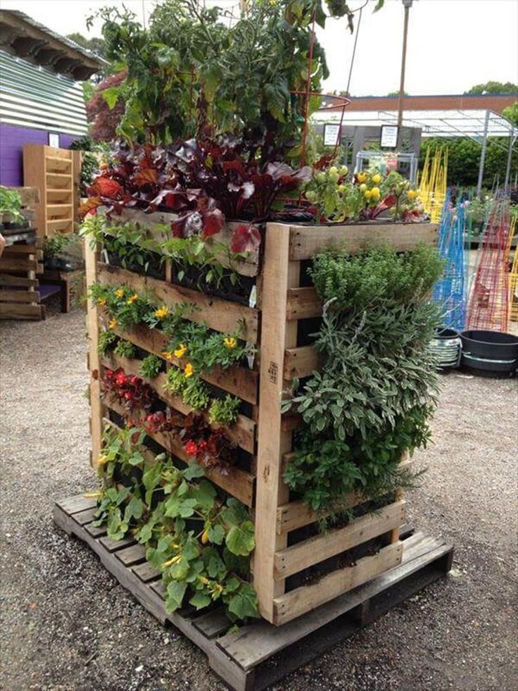 Upcycled Materials for DIY Vertical Gardens