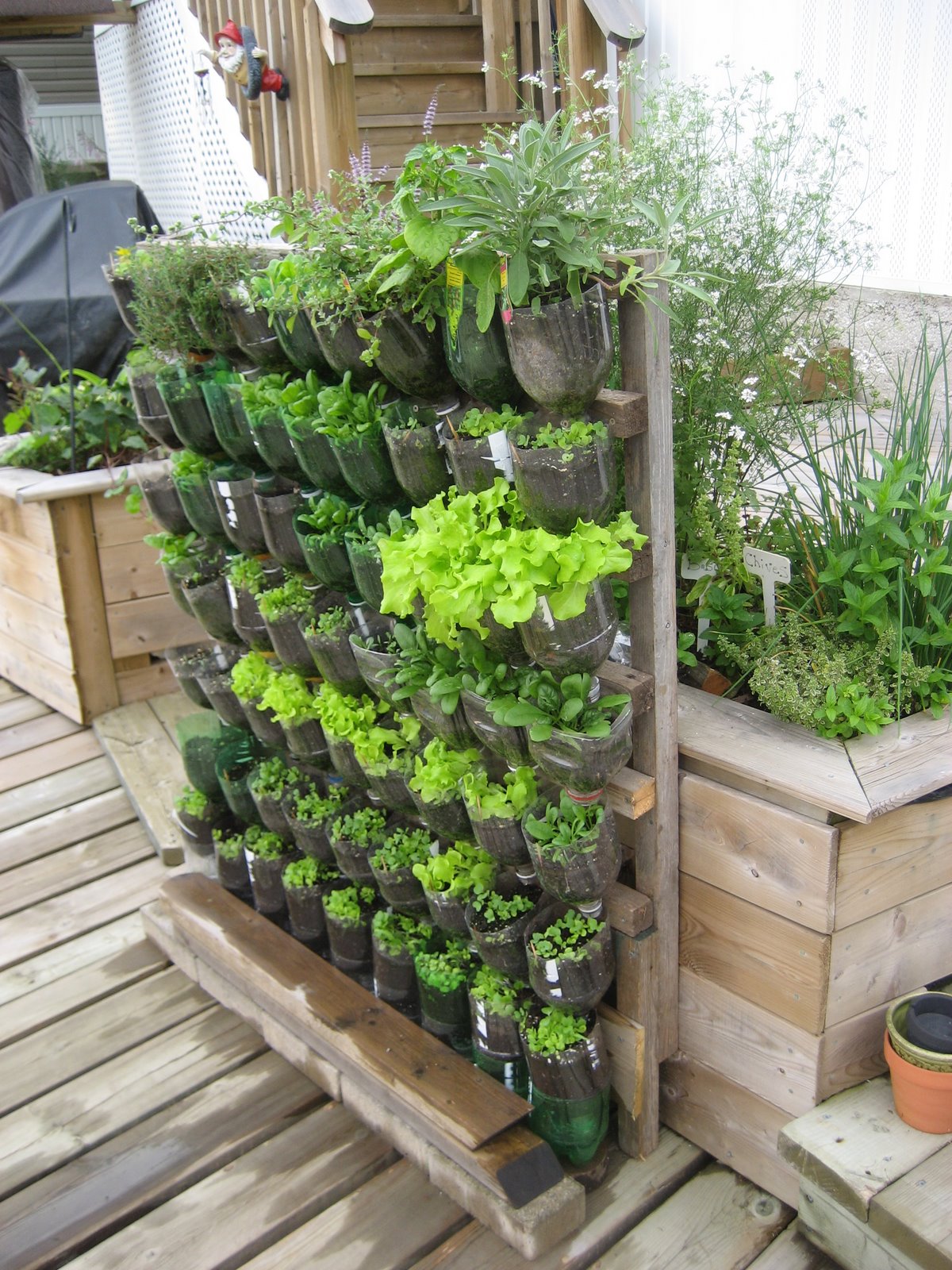 Vertical Gardens: From Niche Trend to Mainstream Phenomenon