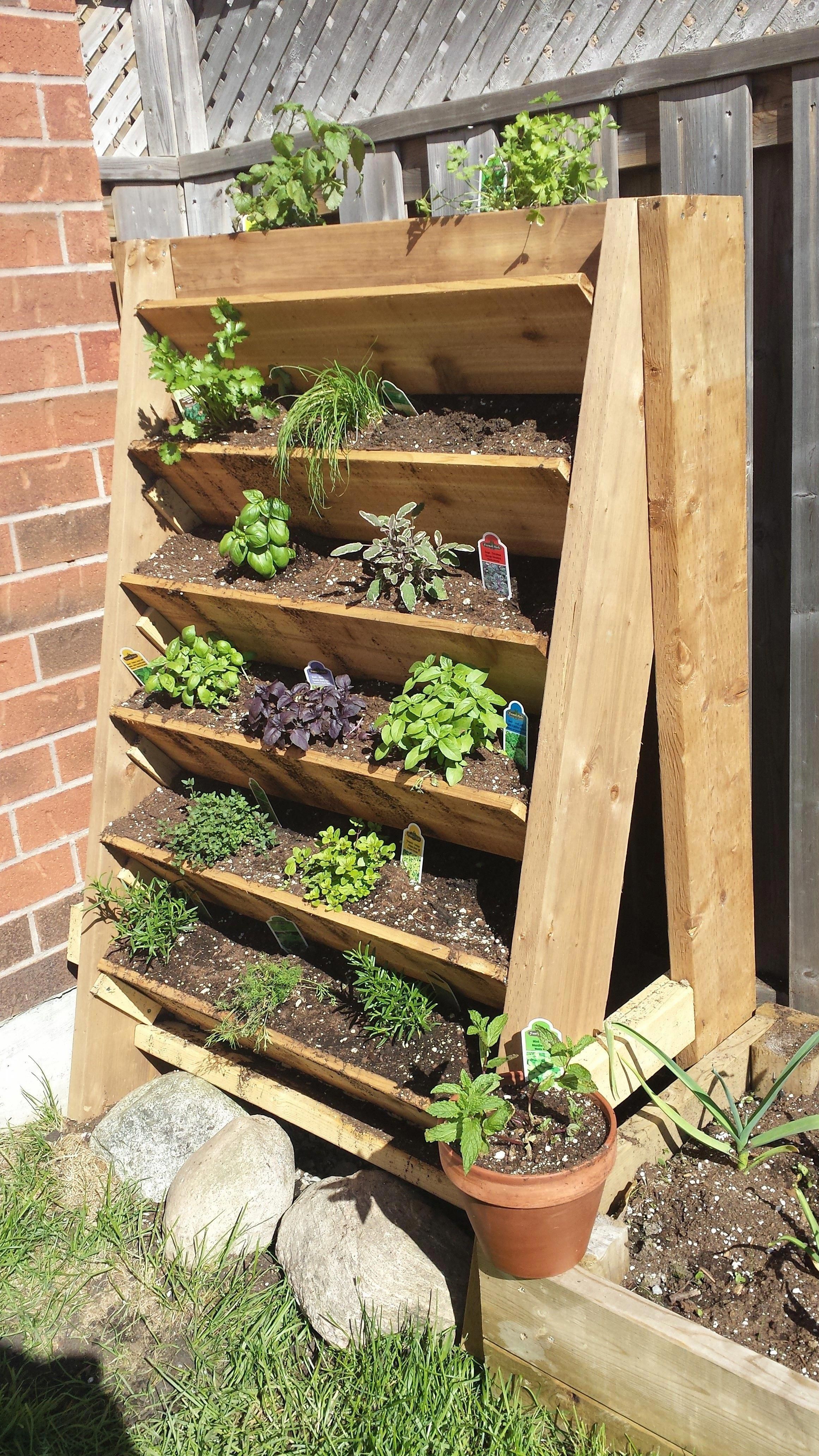 The Challenges and Rewards of DIY Vertical Gardening