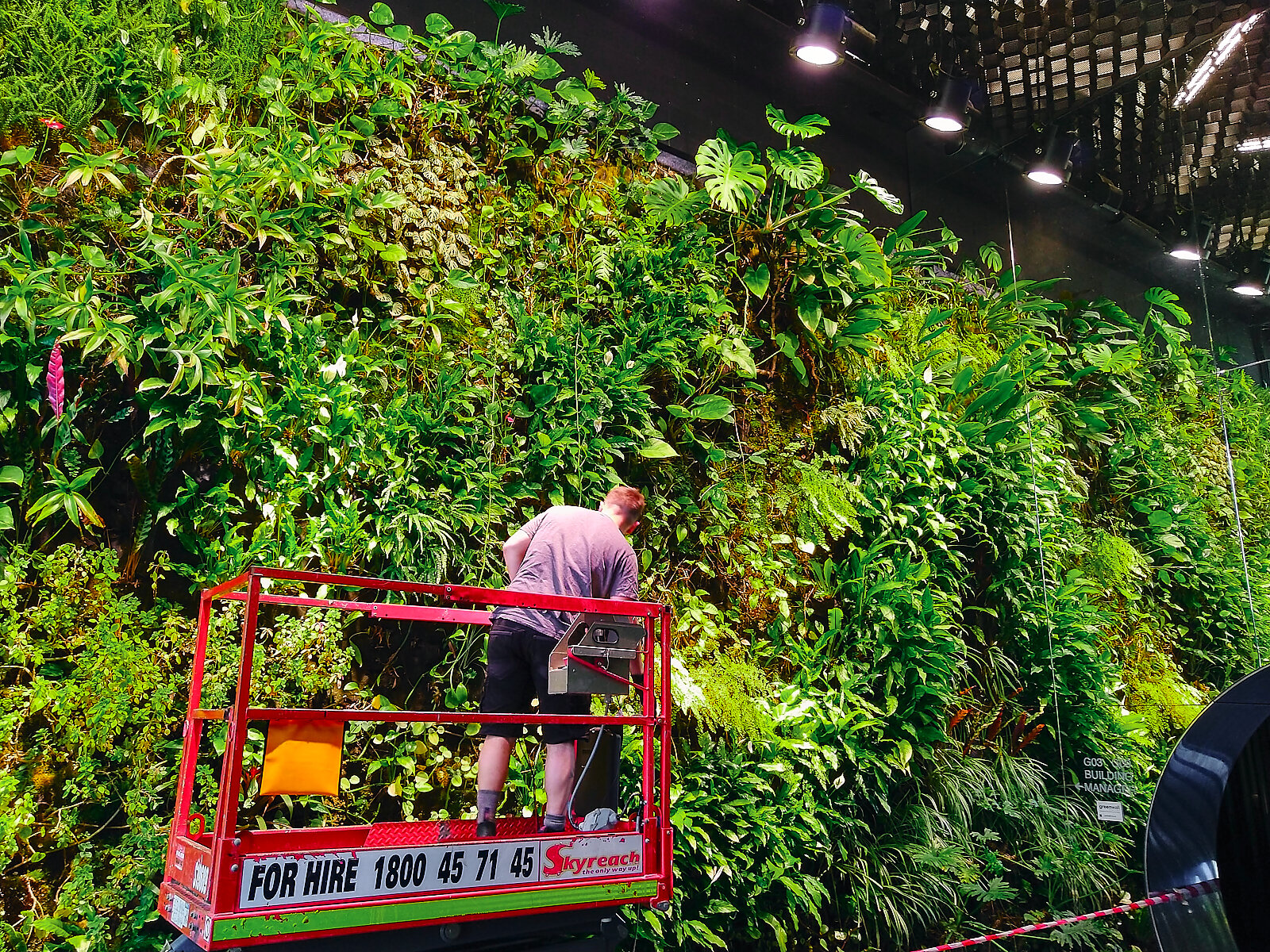 The Art of Vertical Garden Maintenance: Craftsmanship and Care