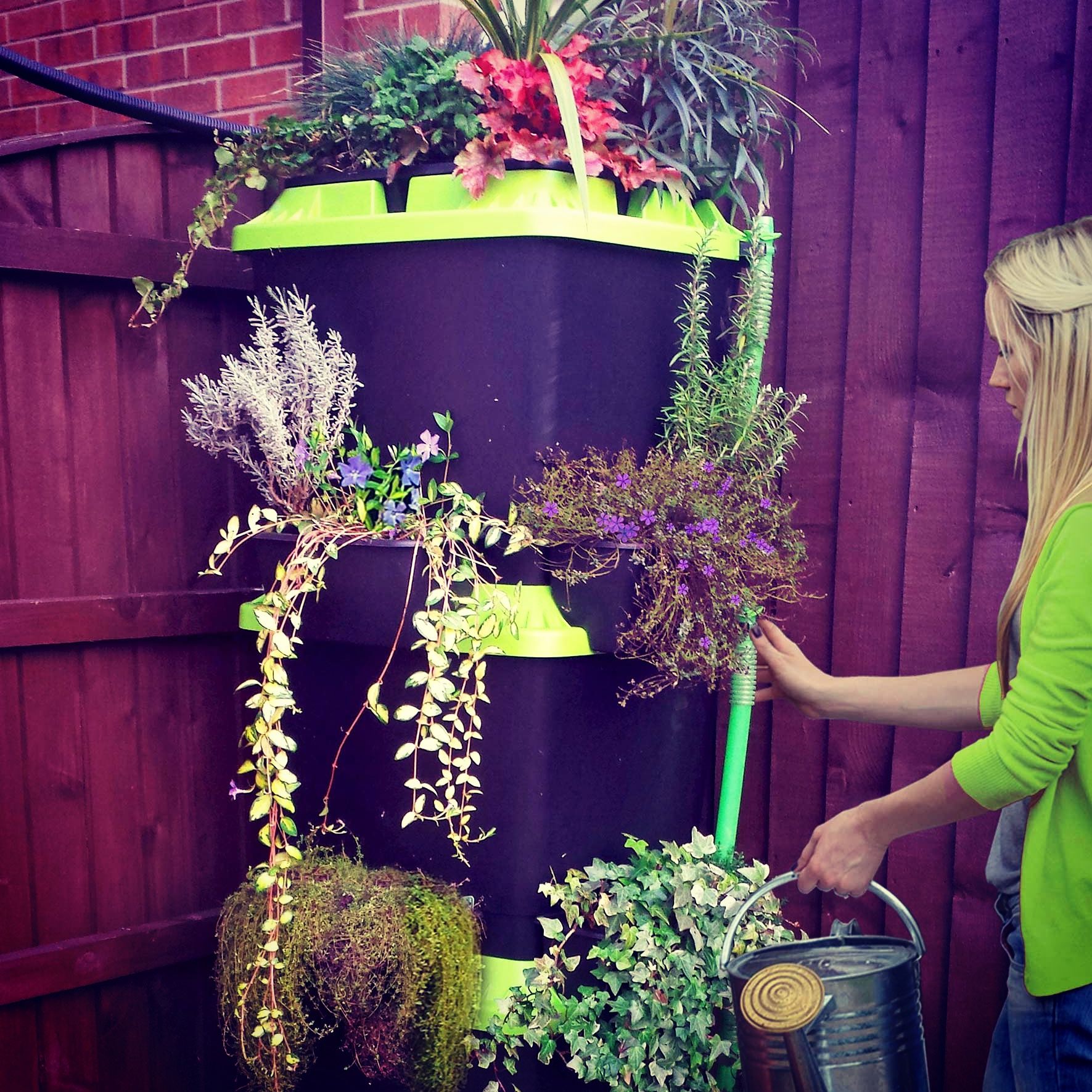 Vertical Gardens and Rainwater Harvesting