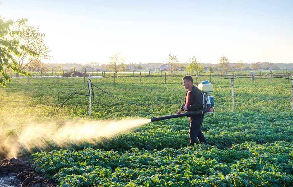 Vertical Farming vs. Traditional Agriculture