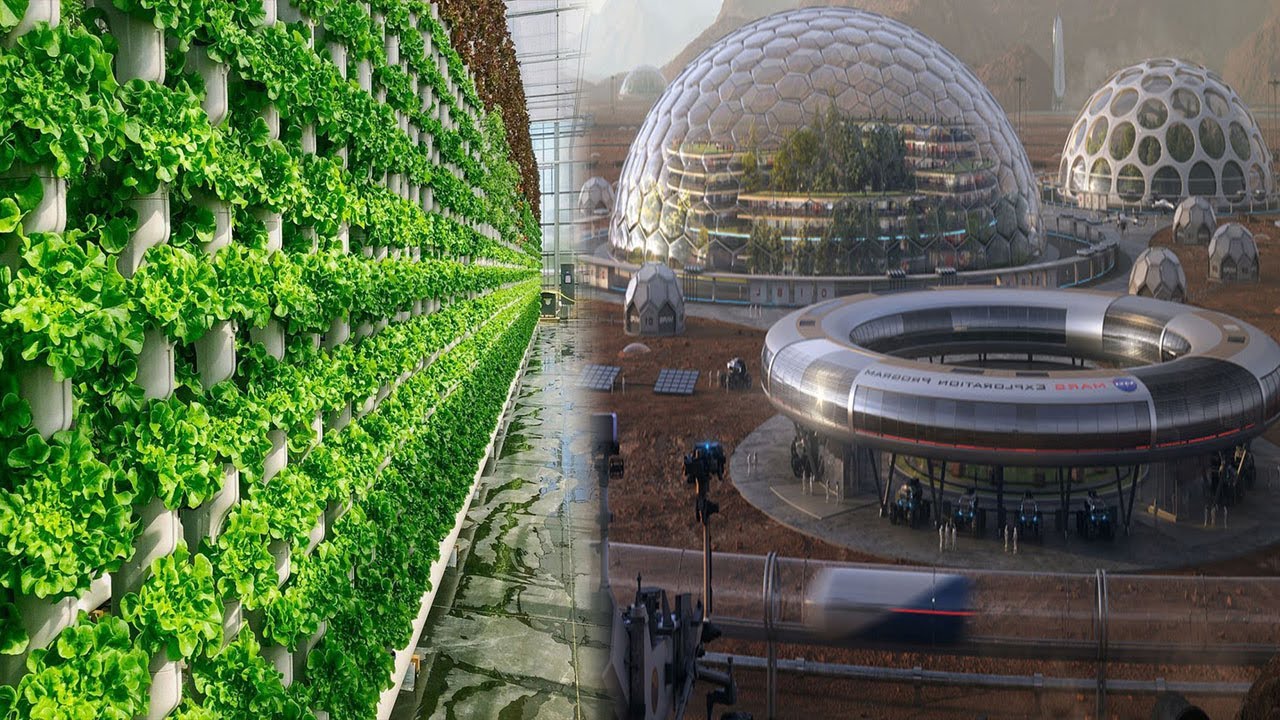 Vertical Farming Infrastructure