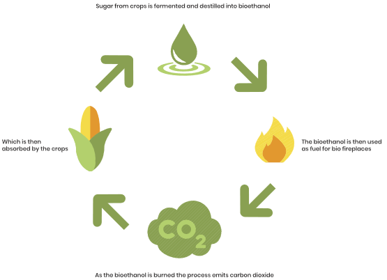 The Importance of Biofuels in a Sustainable Future