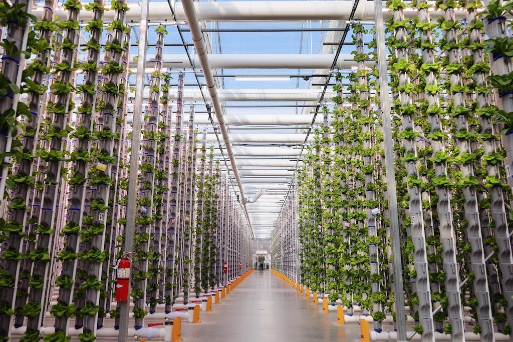 Water and Energy Efficiency in Vertical Farms