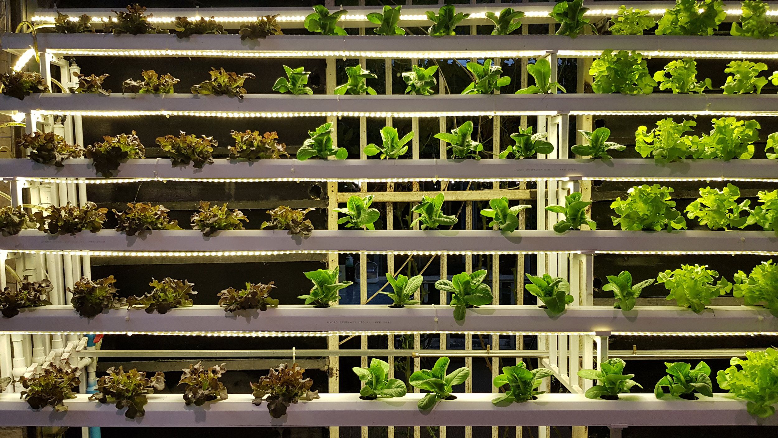 Vertical Farming Business Models