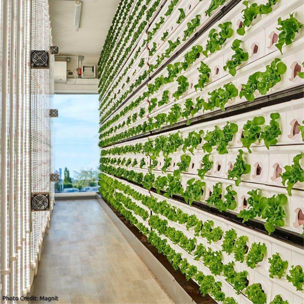 The Human-Centered Design of Vertical Farming Spaces