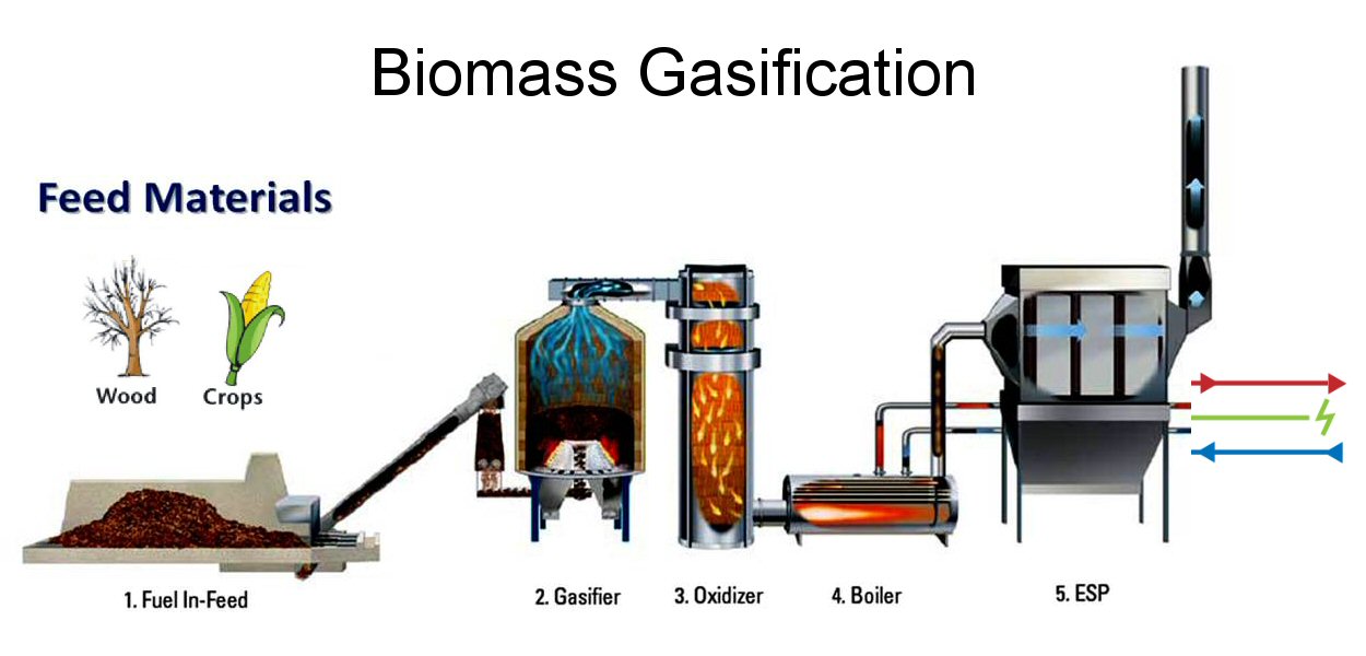 Conversion Technologies: Turning Biomass into Biofuels