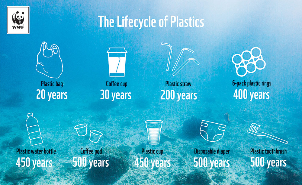 The potential of biodegradable plastics in waste reduction