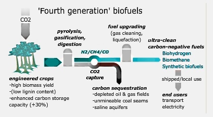 Synthetic Biology and Biofuel Production