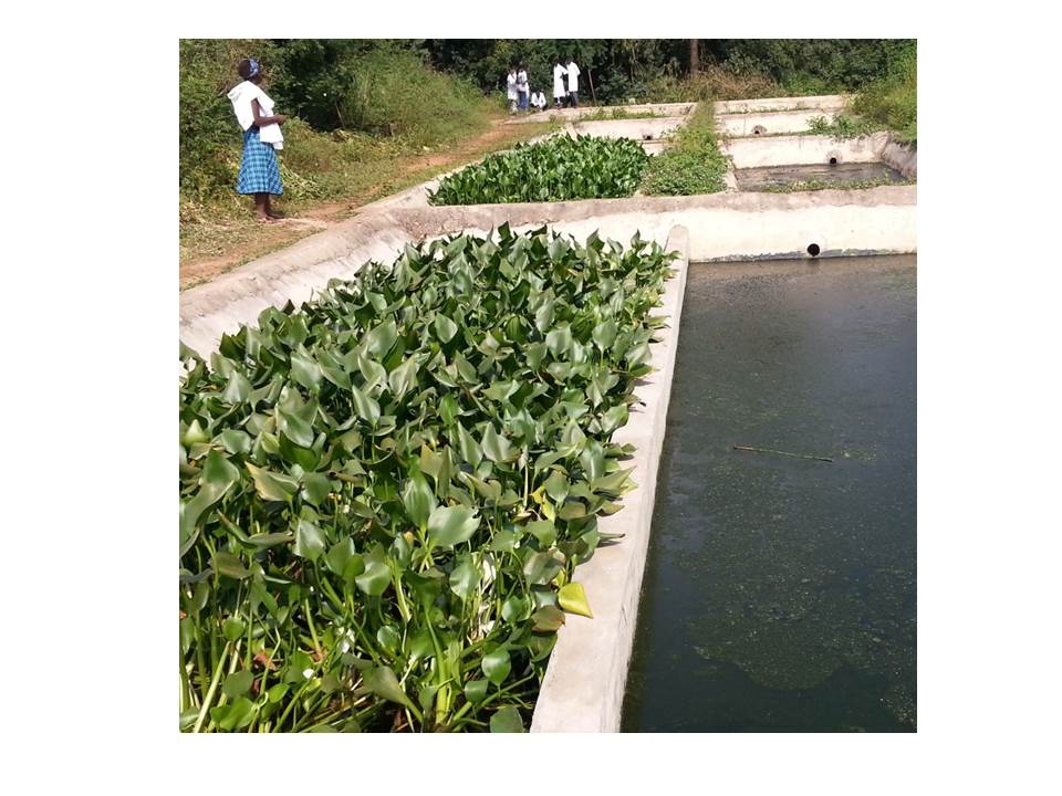 Community Engagement in Wastewater Treatment Planning