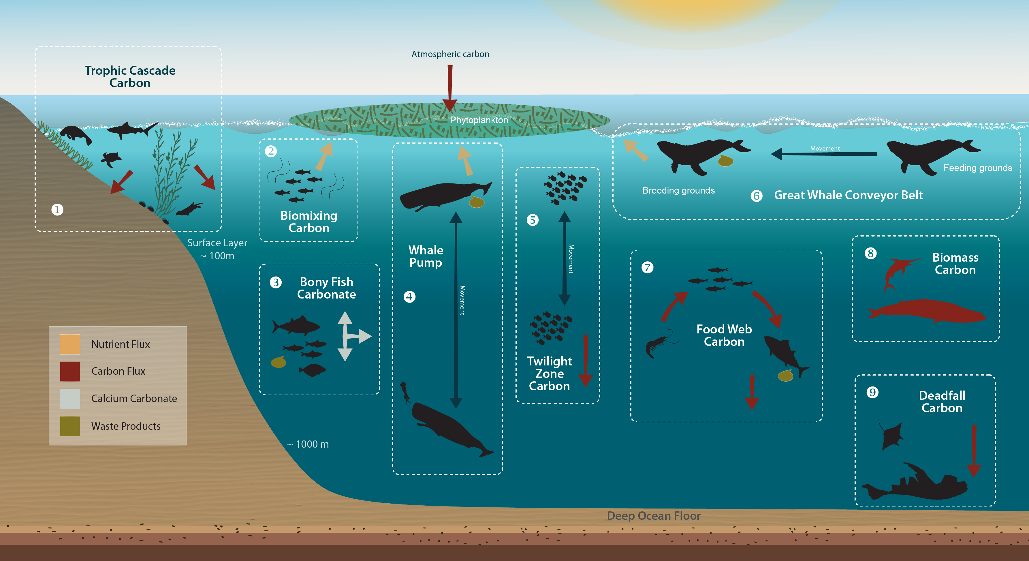 Sustainability at Sea: The Role of Ocean Energy in Maritime Industries