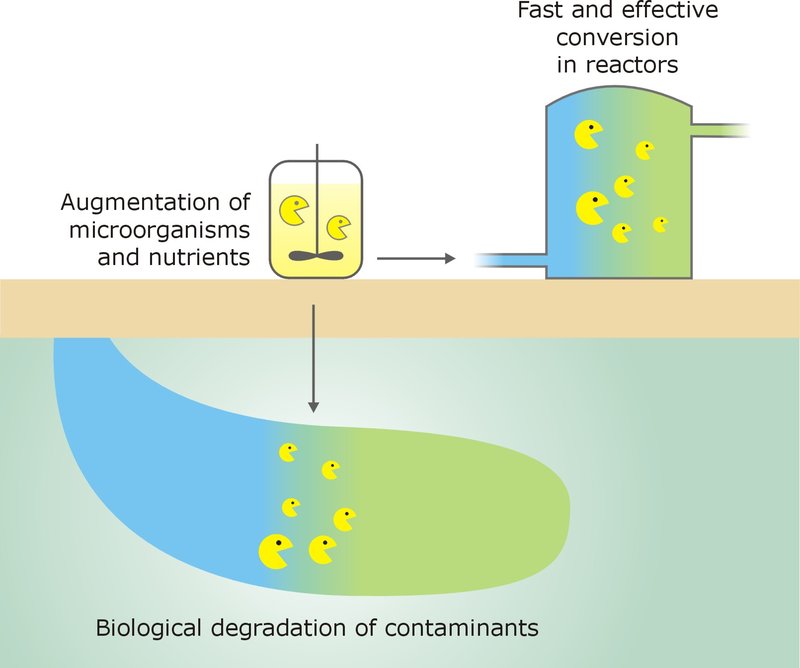 Bioaugmentation in Wastewater Treatment: A Promising Frontier