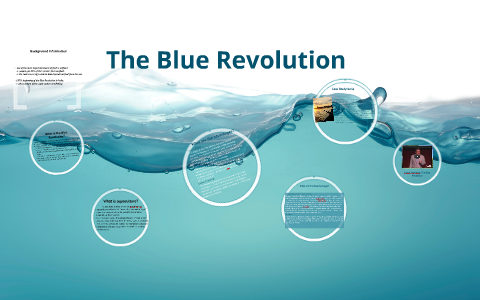 Investing in the Blue Revolution: Opportunities and Risks