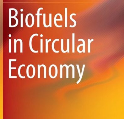 Biofuels and the Circular Economy: A Leadership Perspective