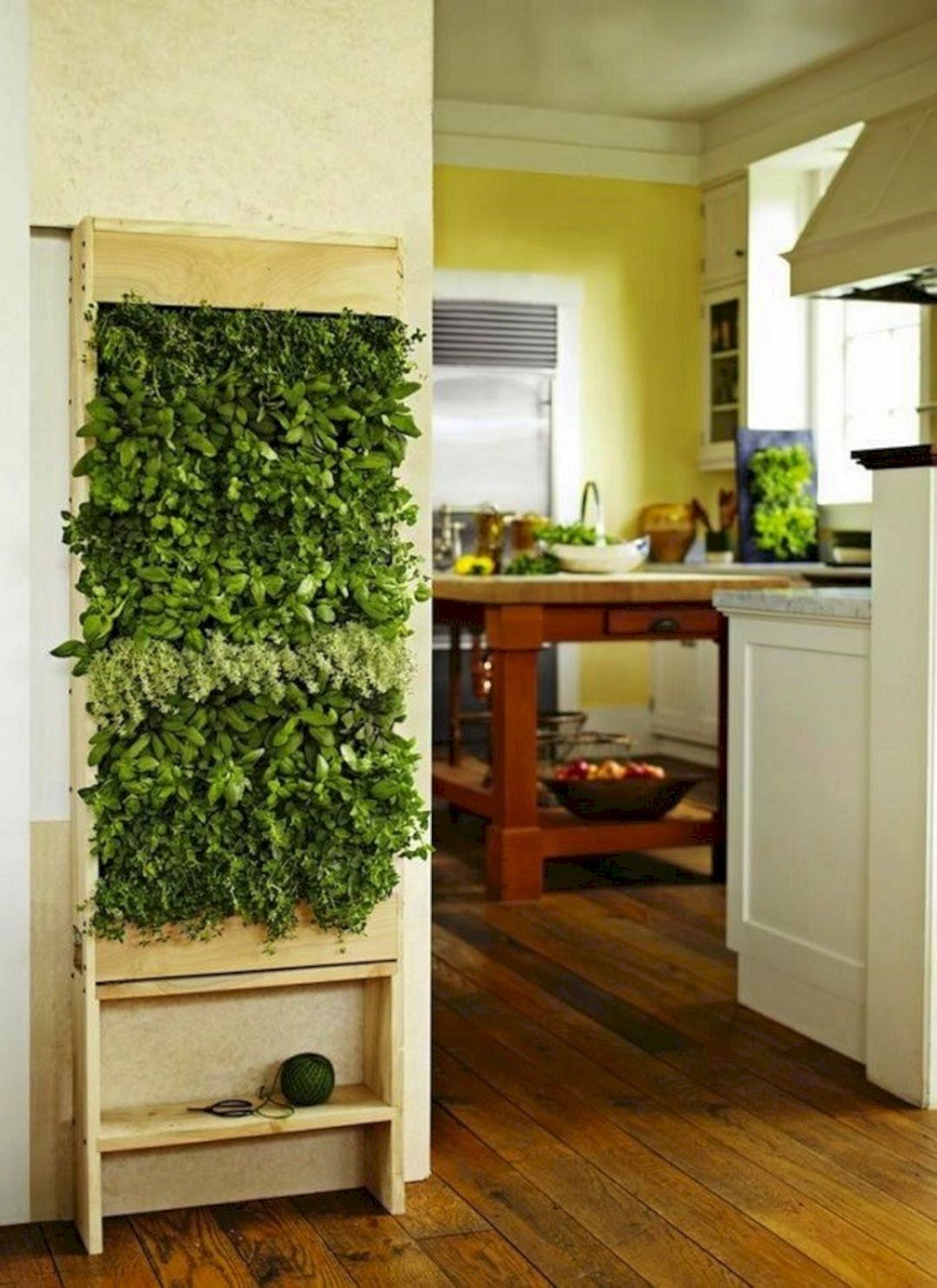 Vertical Garden Design Ideas