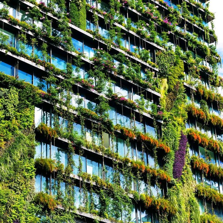 Air Quality Improvement with Vertical Gardens