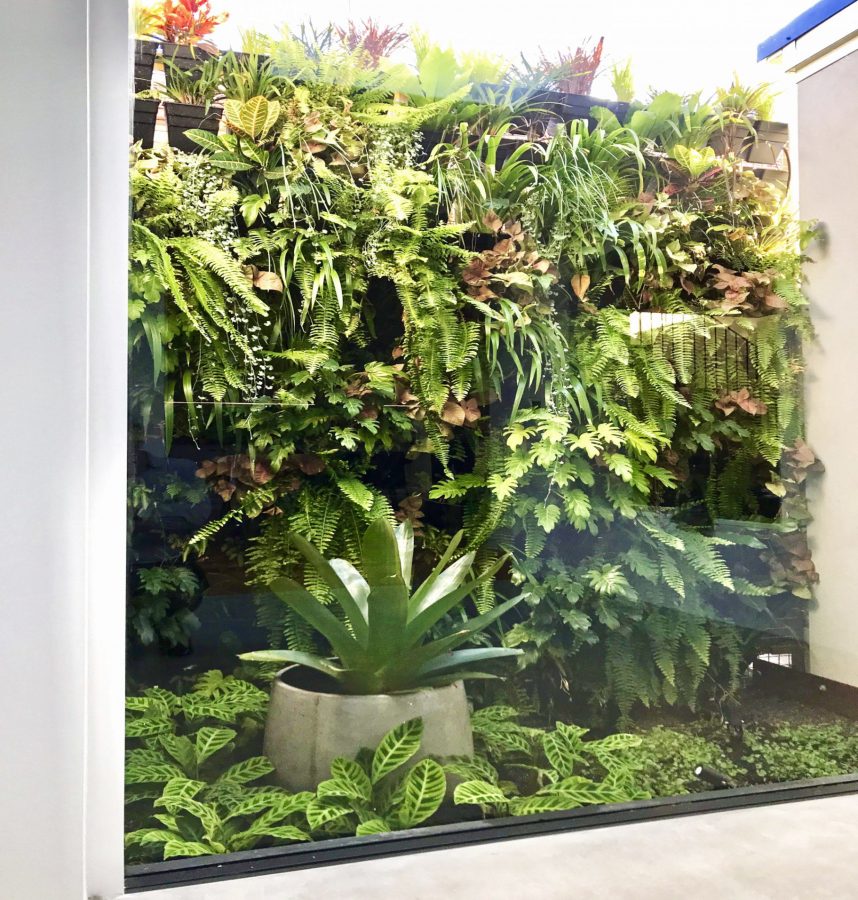 Creating Habitat with Vertical Greenery