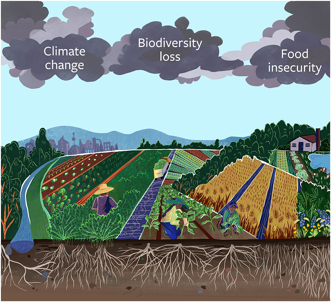 Wastewater Treatment and Biodiversity Conservation