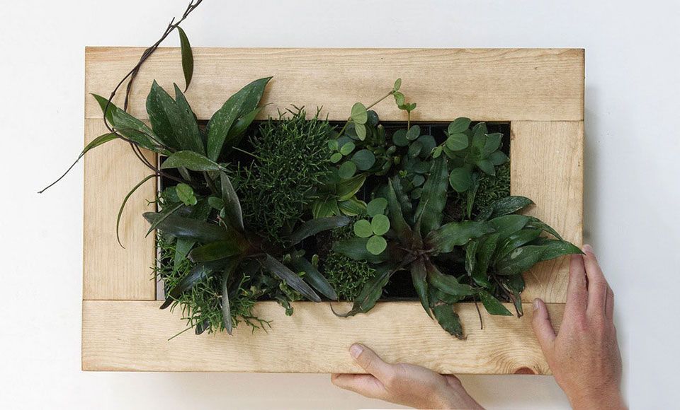 Sustainable Materials for Vertical Gardens