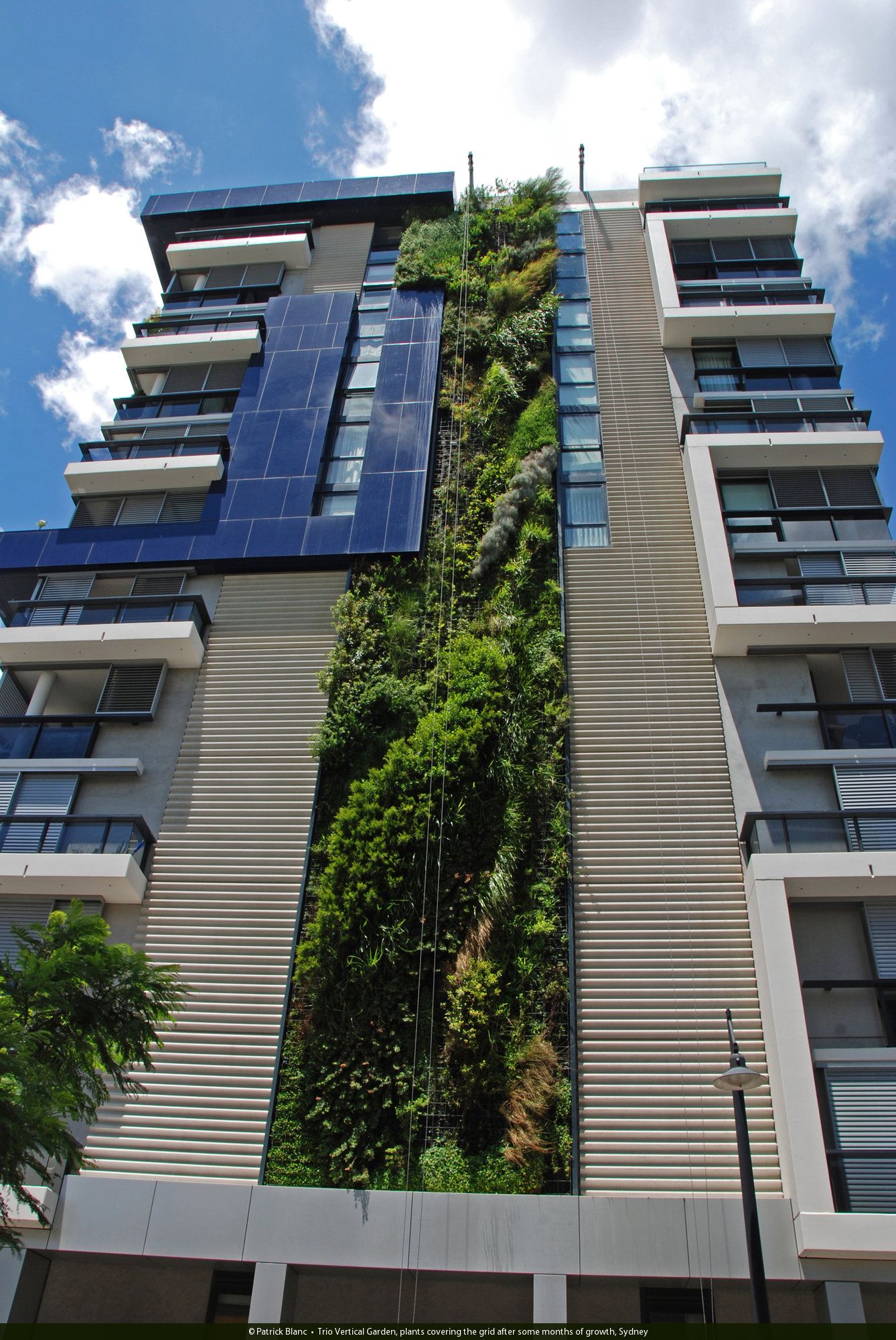 Vertical Gardens and Their Impact on Property Values