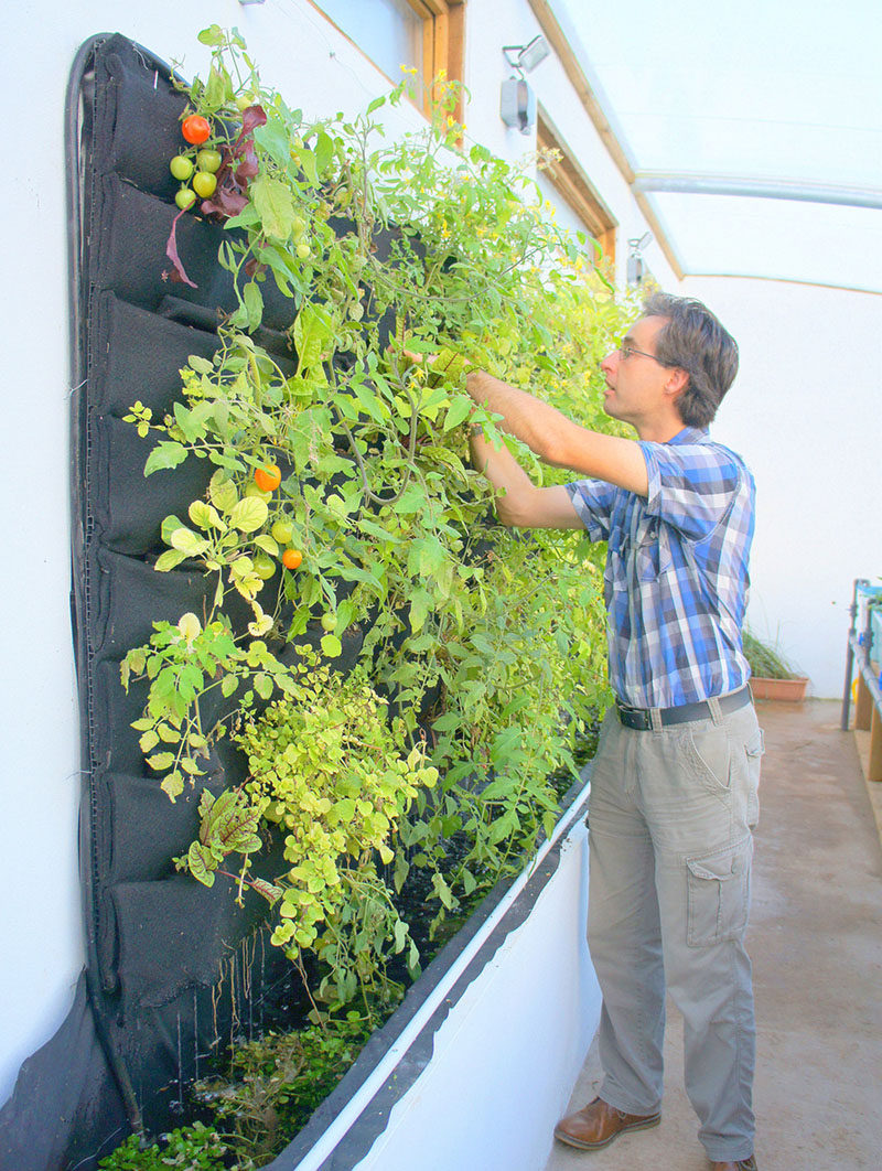 The Challenges and Rewards of DIY Vertical Gardening