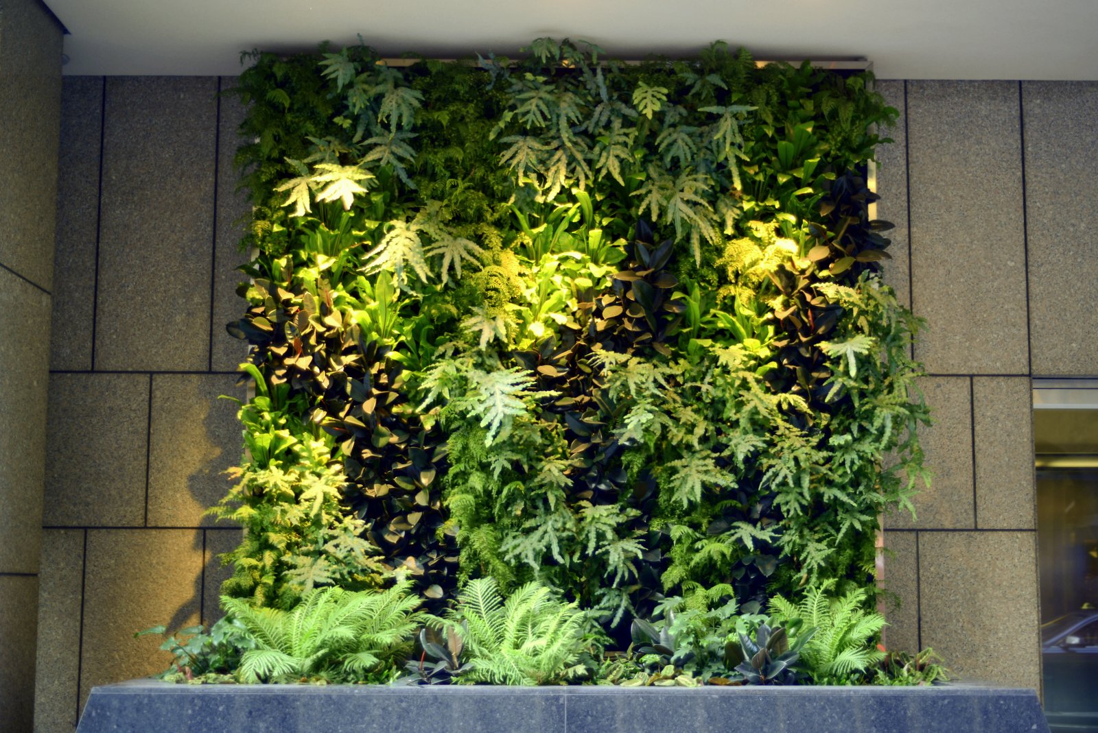 Vertical Gardens: A Green Strategy for Corporations and Offices