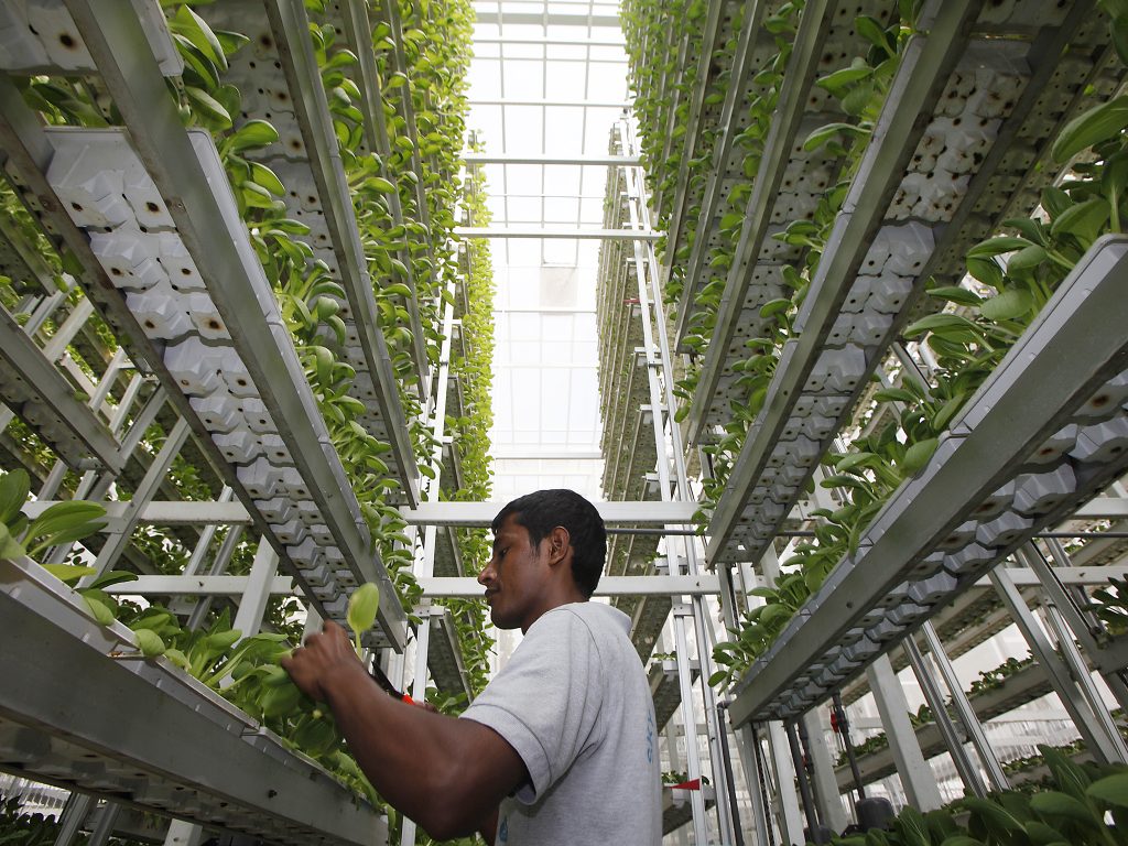 Vertical Farming Infrastructure