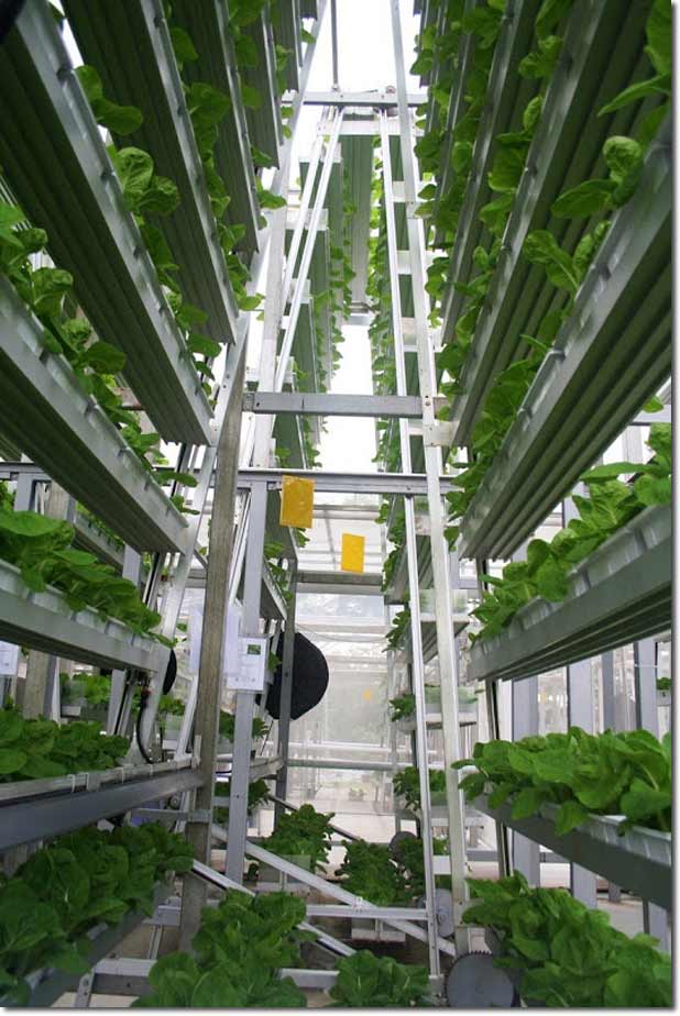 Urban Agriculture and Vertical Farming